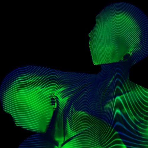 a digital illustration of two conjoined human silhouettes with a repeating waveform texture covering them